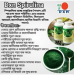 DXN spirulina